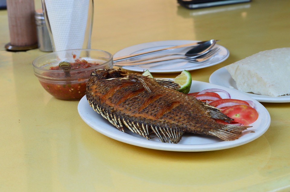fried-fish-2917852_960_720