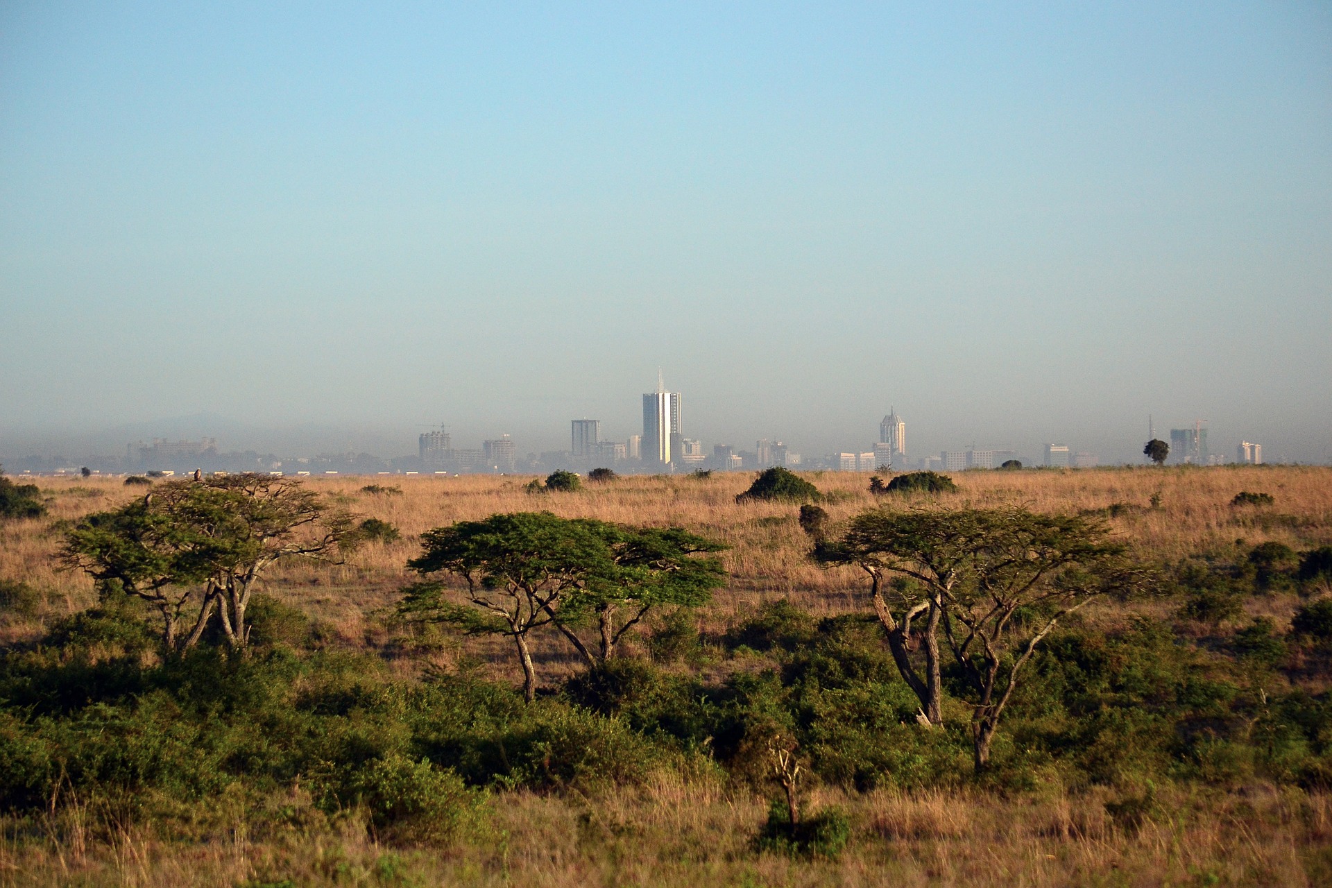 nairobi-354282_1920