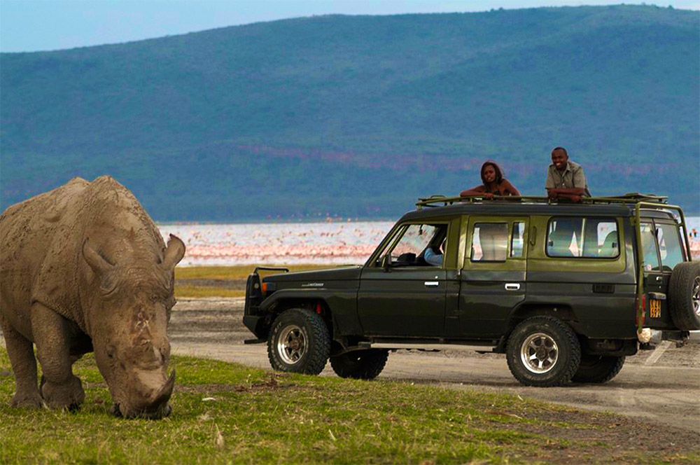 Safari_Sense_Nakuru_How_Stay