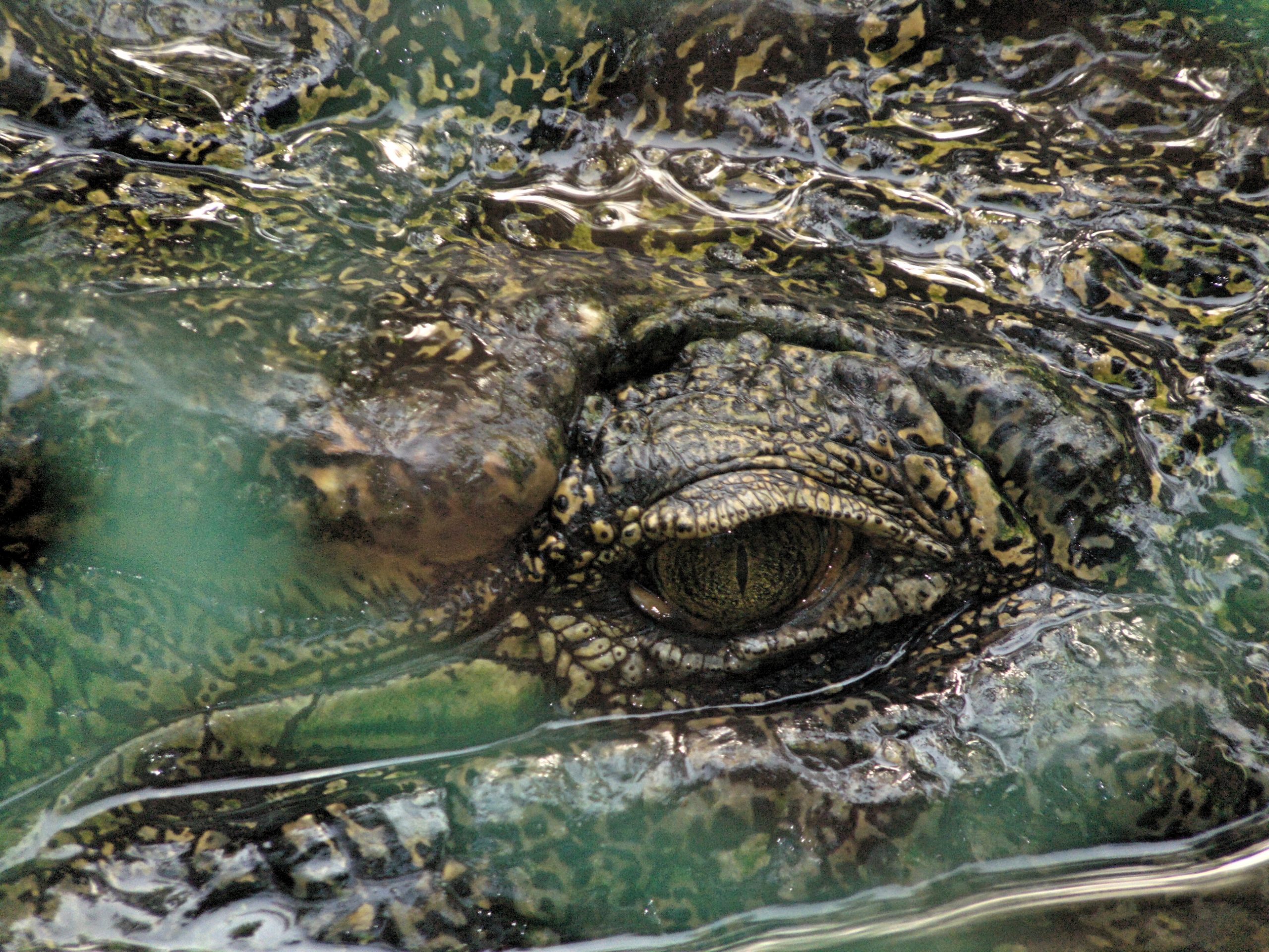 Off The Beaten Track: Embark on an Unforgettable Journey to Central Island National Park