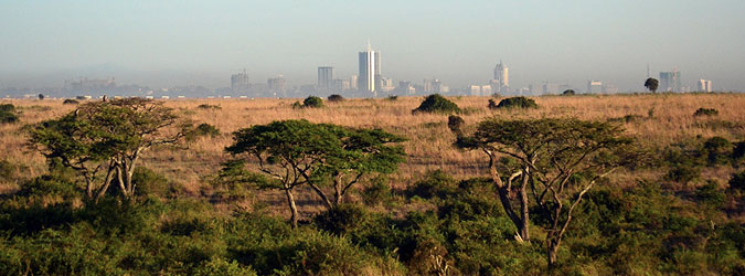safari-sense-nairobi-city-view-1