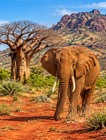 Tsavo West